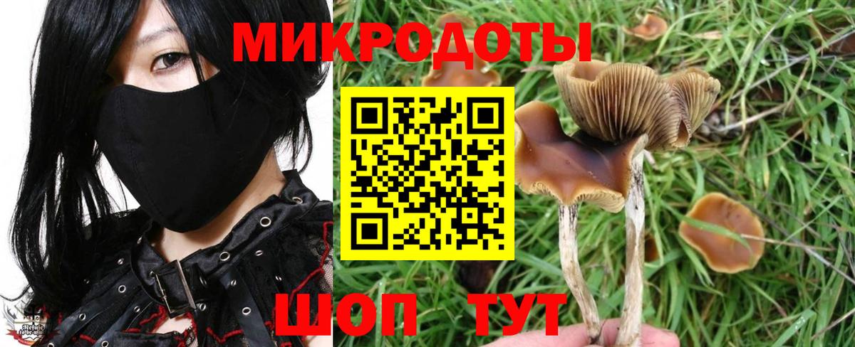 Псилоцибиновые грибы мицелий  Псилоцибиновые грибы GOLDEN TEACHER  наркота  Вход с VPN  Отрадное 