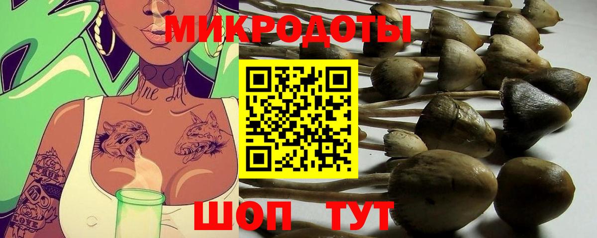 Галлюциногенные грибы GOLDEN TEACHER Отрадное