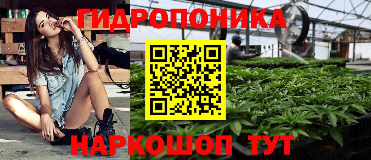 Каннабис SATIVA & INDICA  Вход с VPN  Марихуана White Widow  Конопля Bruce Banner  Отрадное 